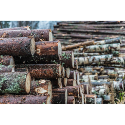 «Wooden Logs» par Medvedkov - Photographie sur toile tendue