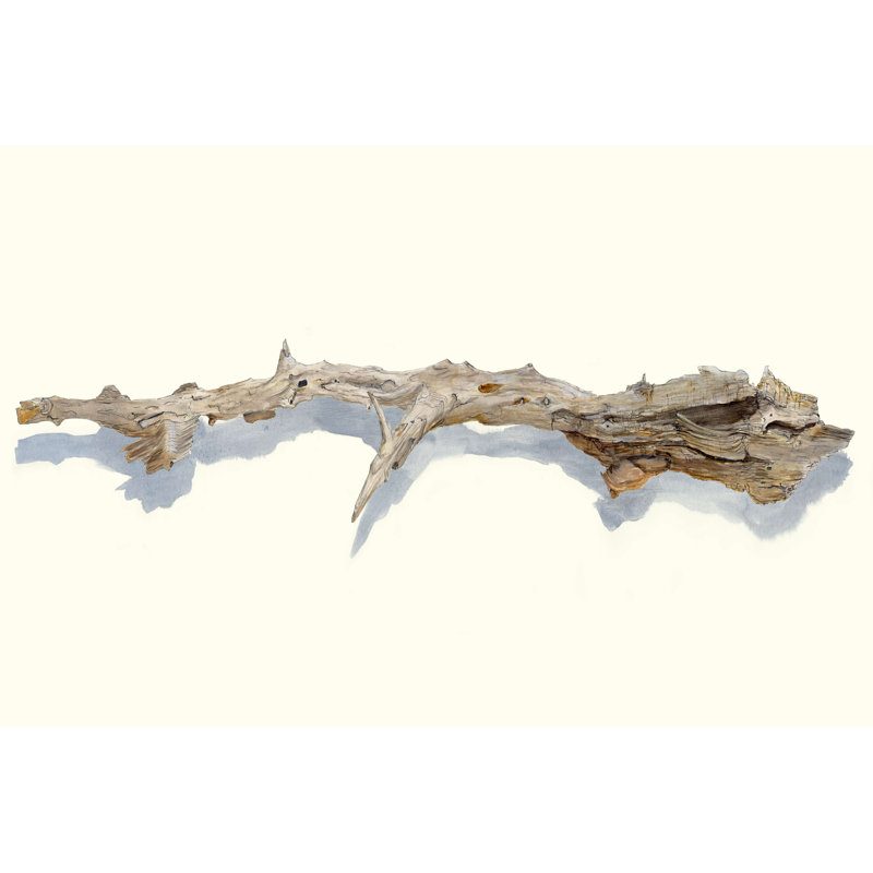 «Driftwood Study I», reproduction sur toile tendue, H 8 po x l 12 po