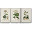 Ensemble de 3 pièces rétro en fleurs IV encadrées sur toile-97946246-97946245