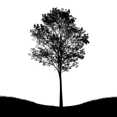 Tree Silhouette by CrPrin - Wrapped Canvas Print