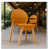 Orange tropical sélectionné