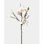 White Magnolia Tulip 20"