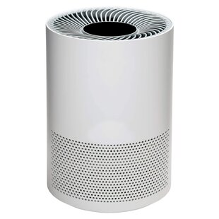https://assets.wfcdn.com/im/41288032/resize-h310-w310%5Ecompr-r85/1408/140877750/bissell-tabletop-air-purifier-with-hepa-type-filter-for-100-cubic-feet.jpg