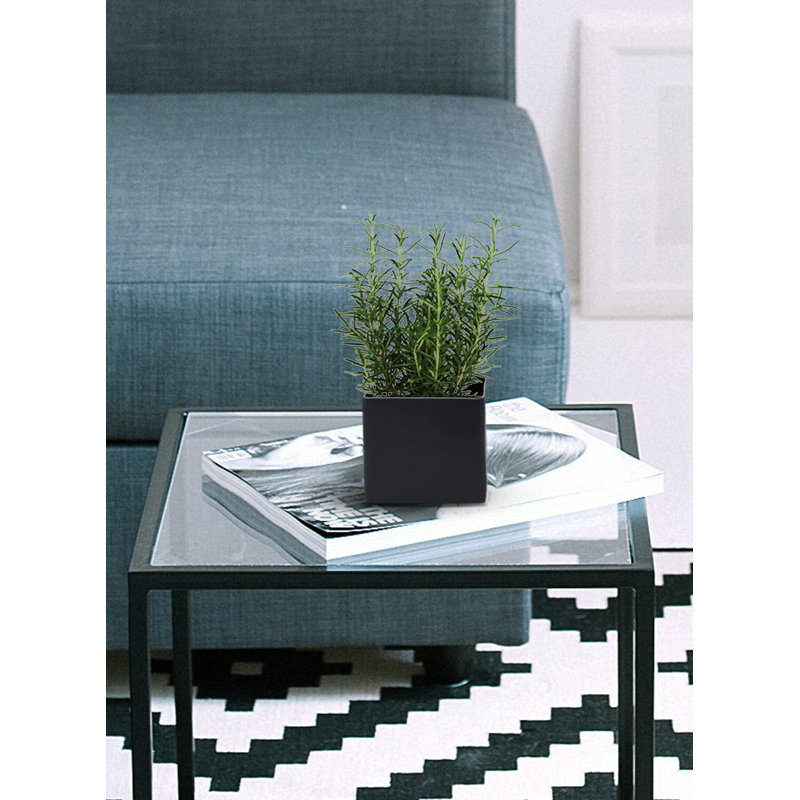 Ensemble de vases de table en céramique 6 pièces Veigar, Noir