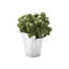 Bloom Botanica Stainless Steel Pot Planter-70655428