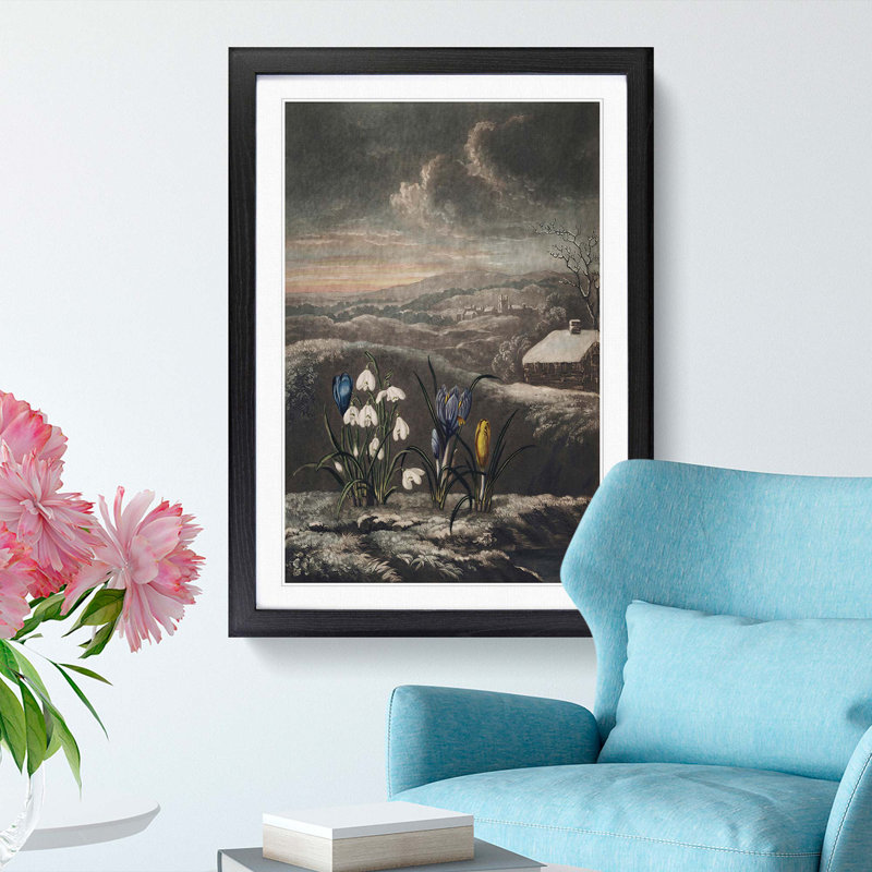 The Snowdrop Flowers by R.J. Thornton - Picture Frame Painting Print, Black Framed, 36cm H x 27cm W x 2cm D