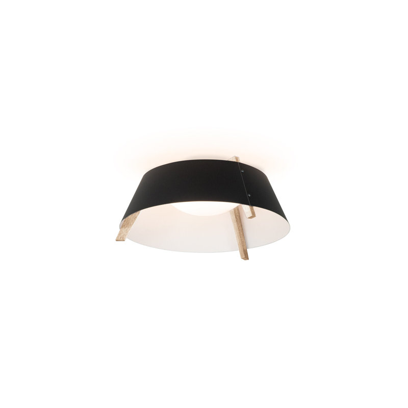 Casia 1 - Light LED Flush Mount, Matte Black with Matte White, White Washed Oak, 2700 K