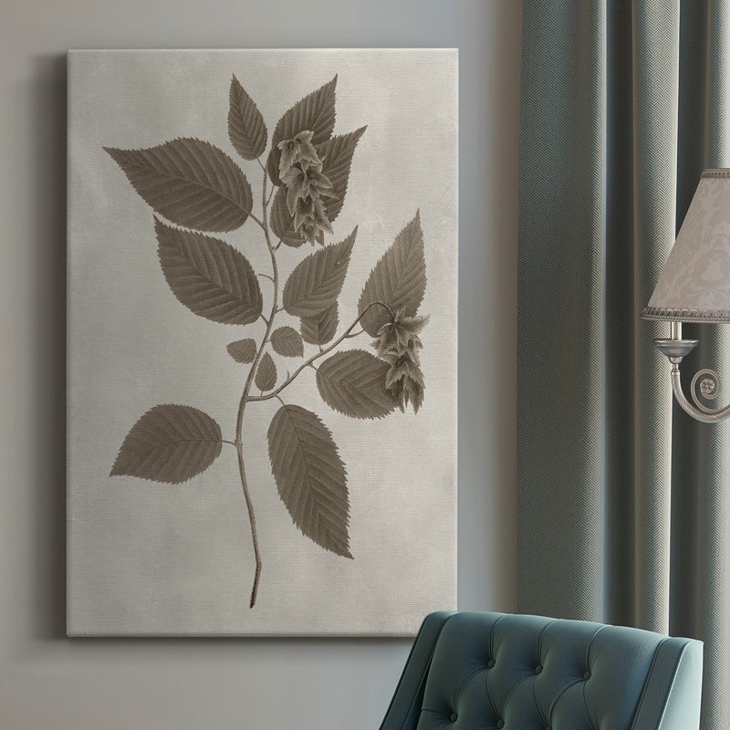 Arbor Speciment II - impression sur toile tendue, H 18 po x l 12 po x P 1 po