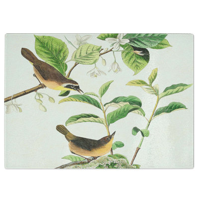 Tempered Glass Yellow-Breasted Warbler Birds by John James Audubon Chopping Board