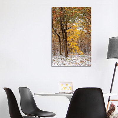 White And Yellow by Nejdet Duzen - Wrapped Canvas Photograph