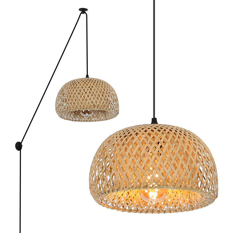 Plug In Pendant Light Fixture