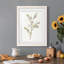Cadre simple mat Premium Sprig II prêt à accrocher-608552820-608552821