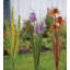 Ensemble de 3 piquets Botanical