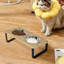 Elevated Feeder