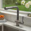 Lulani Nassau Pull Out Kitchen Faucet-86768821