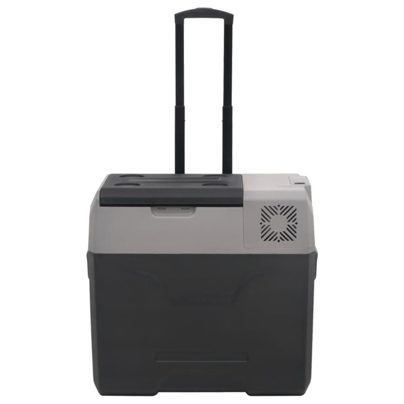 Aydiner Dakota Fields 40 L Ice Chest Black