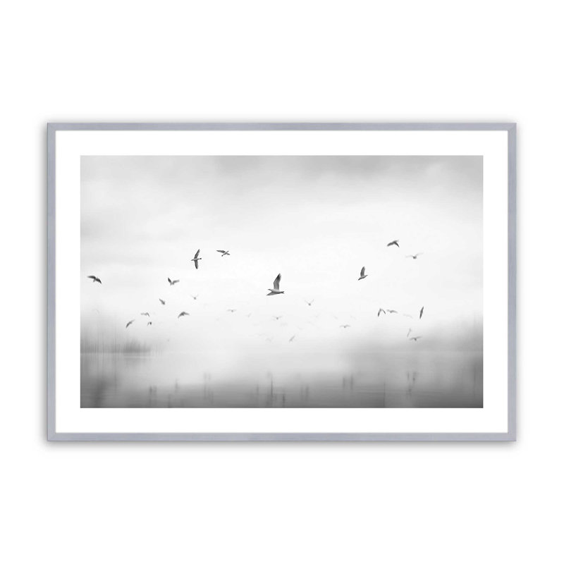 Ethereal Flight Serenade, 12.25" H x 15.25" W, Polished Chrome Single Picture Framed