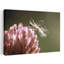 Art mural contemporain abstrait fleur rose et graine extrême-1152594201