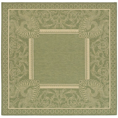 Tapis intérieur / extérieur olive / naturel tissé à plat à la main Arneshia