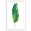 Palmes des tropiques III - peinture-978947088-978947090