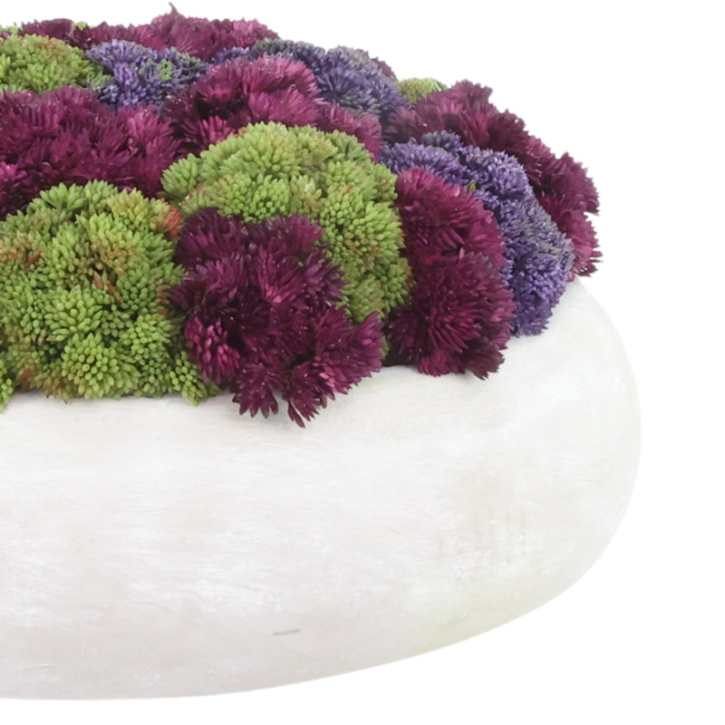 Sedum Arranged in a Stone Planter, 9" H x 15" W x 15" D, Purple/Burgundy/Green