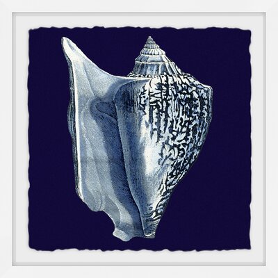 Indigo Shell I by Marmont Hill - Picture Frame Graphic Art on Paper -  MH-WAG-100-NWFP-12
