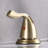Carles 2-handle Bathroom Faucet with Drain Assembly-59346424