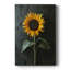 FLORAL Series Div - Gallery Cavas