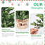 Arbre de Noël artificiel de bureau 2 pi avec base remplie de ciment en plastique, petites décorations de bureau pour les maisons, les bureaux, les dortoirs et les entrées
