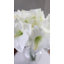 Amaryllis artificiel rouge 19,5 pouces-1479684141