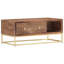 Nereus Frame Coffee Table with Storage
