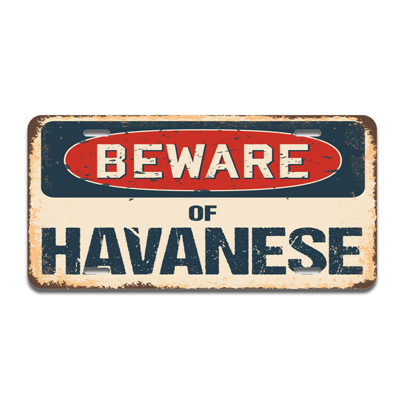 Cadre en aluminium Beware of Havanais