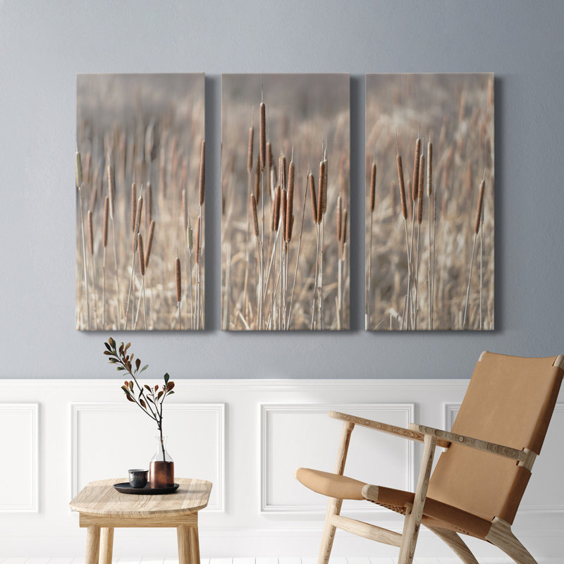 Summer Tails - Ensemble de 3 photographies sur toile tendue, H 27 po x l 54 po x P 1 po