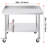 Stainless Steel Work Table