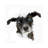 Dog by Paul Haag - Print on Canvas-343855016-343855017