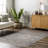 Xenia Faded Transitional SplashGuard Machine Washable Area Rug-937302349