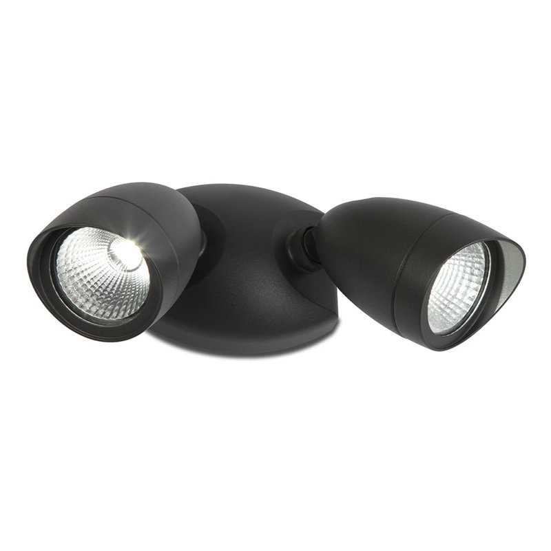 Bryceland Wall Spot Light