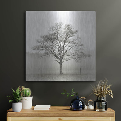 «Winter Tree, Cades Cove» par Nicholas Bell, photographie