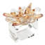Spectra Napkin Ring Set-917278209