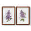 Impression encadrée Awash In Lilac I-Premium - prêt à être accroché-356478980-356478982