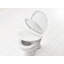 Raised Toilet Seat