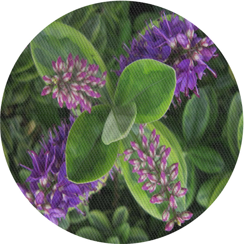 Tapis vert Tito, Rond 8 pi