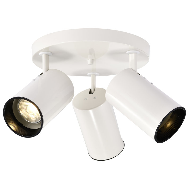 Projecteur directionnel à 3 lumières 14 po Chabot
