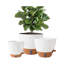 Jardinière à arrosage automatique 8/10/12 pouces - Grands pots à fleurs en plastique blanc avec trous de drainage, indicateur de niveau d'eau et réservoir profond pour plantes d'intérieur / extérieur
