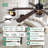 65 Inch Farmhouse Black Caged Ceiling Fan with Light, Rustic Reversible DC Motor Large Ceiling Fan For Living Room