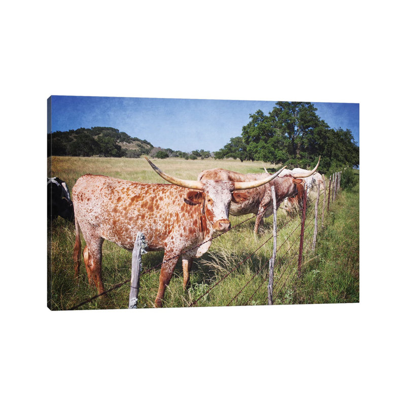 Texas Longhorns III by Ann Hudec - Wrapped Canvas Print, 30.48 cm H x 45.72 cm W