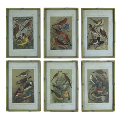 Songbird Botanical Art Prints in Gold Faux Bamboo Frames - Set of 6
