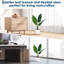 Faux arbre parasol Schefflera avec pot de fleurs