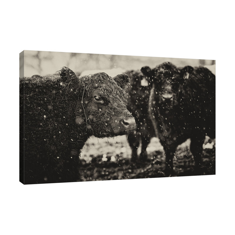 «Its Snowing», toile tendue par Aledanda, H 40 po x l 60 po x P 1,5 po