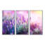«Growing And Blooming Lavender», 3 pièces, cadre flottant, impression sur toile-1588983733-1548783798